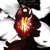 Cellophane Memories [Bandcamp Download]