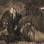 Murder And Rape Your Flesh
