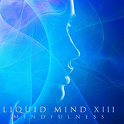 Liquid Mind XIII: Mindfulness