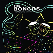 The Bongos: Numbers With Wings (40th Anniversary Edition)
