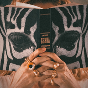 Zebra - Single