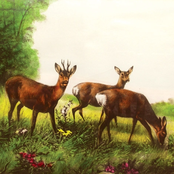 MUZYKOTERAPIA: Scena Krakowska