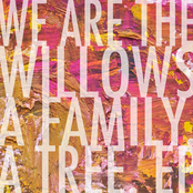 We Are The Willows: A Family. A Tree. EP.