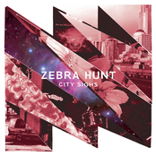 Zebra Hunt: City Sighs