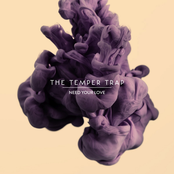 The Temper Trap: Need Your Love