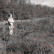 Sоundscapes of Spring