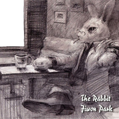 The Rabbit