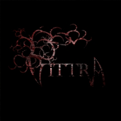 S/T
