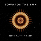 Towards the Sun