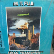 m.t. fuji