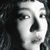 황홀한 실종 The Marvelous Absence