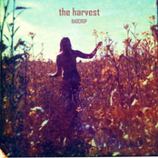 Billie James Is Not Your Lover