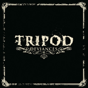 Madone by Tripod