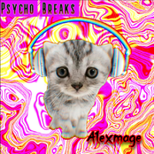 Psycho Breaks