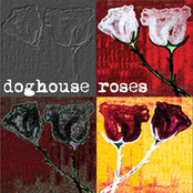 Doghouse Roses EP