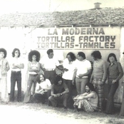 tortilla factory