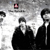 the roadkills