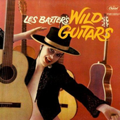 wild guitars