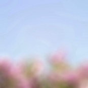 when the mountains are turned to dust