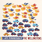 I Fell For You by The Wellingtons