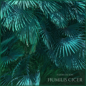 Humilis Cicer