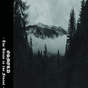 The ruins in the forest