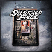 Stillness by Shadows Fall