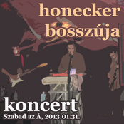 Koncert (2013.01.31. Szabad az Á)