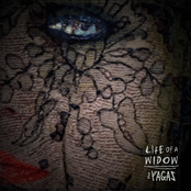 Life of a Widow - Single