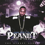 Peanut: Young Rich & Fly