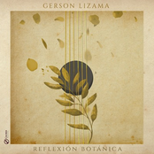 Reflexión Botánica
