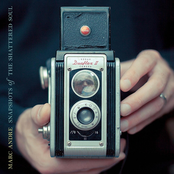 Snapshots of the Shattered Soul