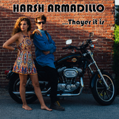 Harsh Armadillo: Thayer It Is