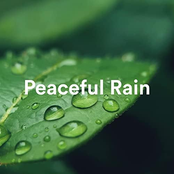 Peaceful Rain