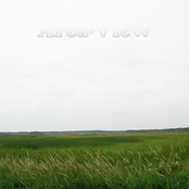 Area-View