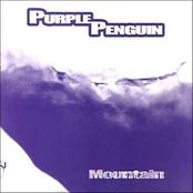 Purple Penguin