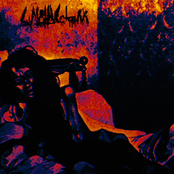 Поглощение