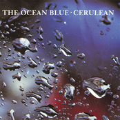 The Ocean Blue: Cerulean
