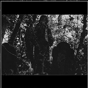 Pogrzeb Cieni Zapomnianych / Proch