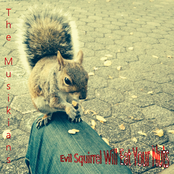 Evil Squirrel Will Eat Your Nuts