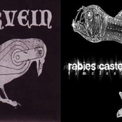 Timeless (split Rabies Caste & Sourvein)