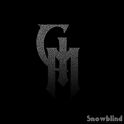 Snowblind