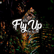 Fly Up - Single