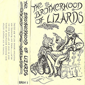 The Brotherhood Of Lizards