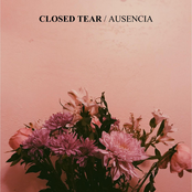 Closed Tear: Ausencia