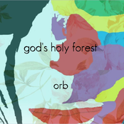 god's holy forest