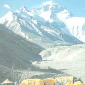 Shittiness Incarnate