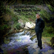 Ambient Guitars in the Cromatic Forest