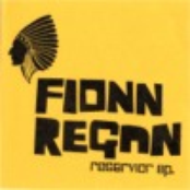 After The Fall by Fionn Regan