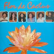 Flor de Cactus
